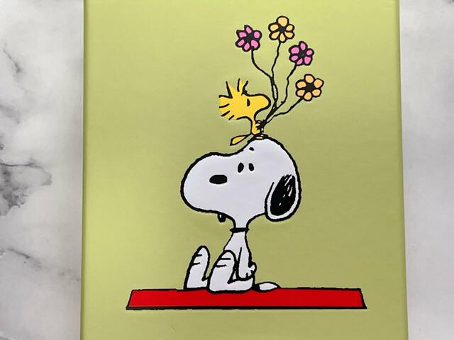 フロントにスヌーピーとウッドストックのかわいいイラスト入りデザイン