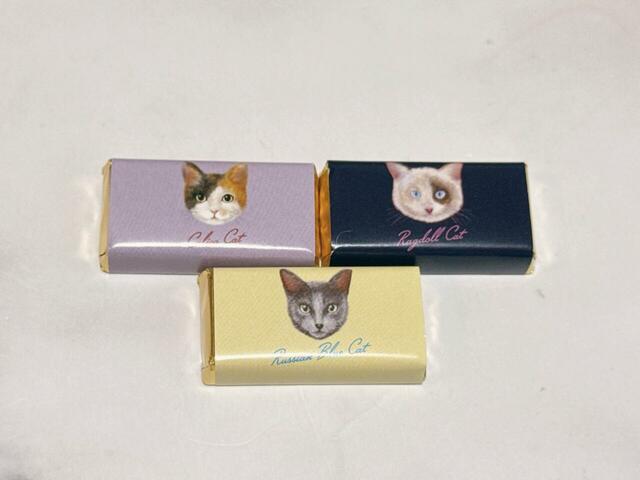 【カルディ キャット ミニパック チョコレート】おしゃれでシックなカラーが◎
