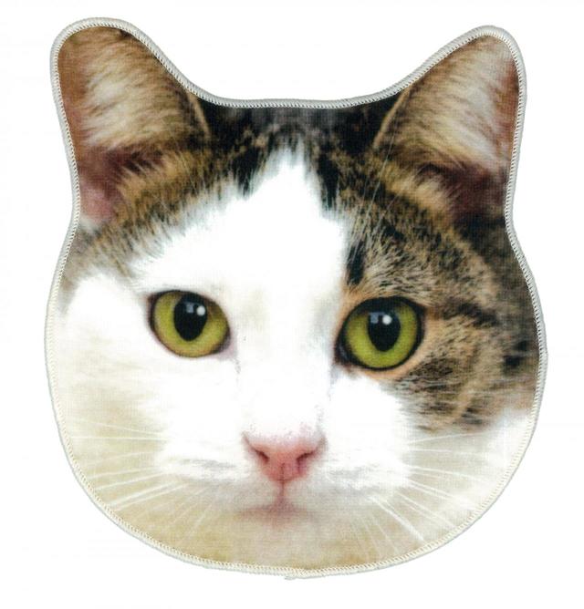 リアルモチーフタオル：1,100円（税込）