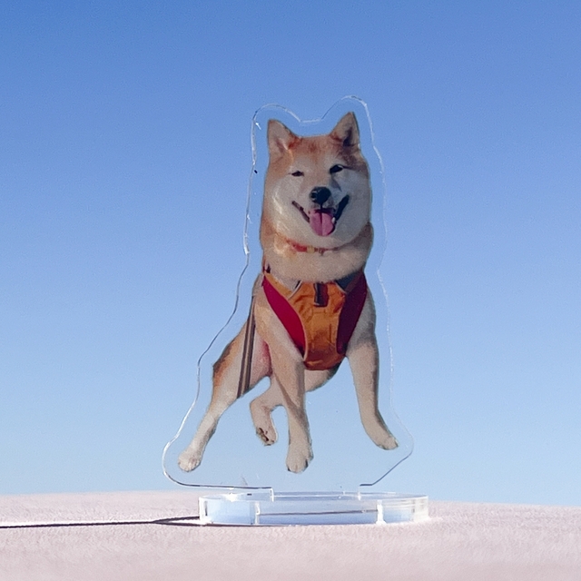 可愛さがそのまま反映されていて最高です