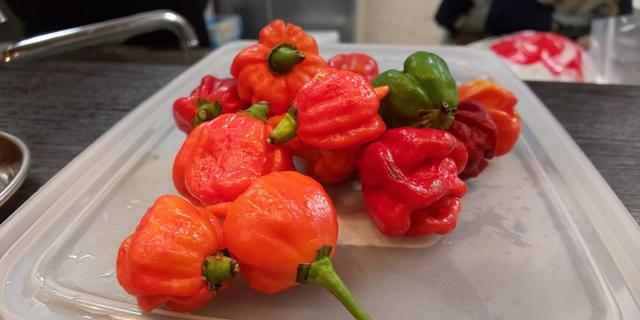 トリニダード・スコーピオン・ブッチ・テイラー