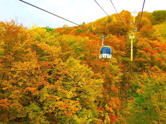 ゴンドラリフト「アダム」