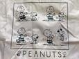 スヌーピーとチャーリー・ブラウンの仲の良さがうかがえます♪