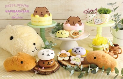 img_b1bfe1ad3ddb5f9913c77fa012