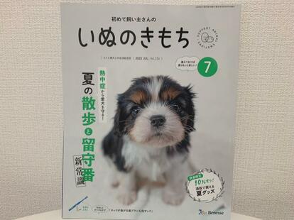 img_b1ec510f5354ffd88bd4d0fb65 