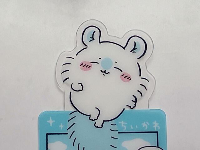 まさしく天使の寝顔…！でも起きると悪魔になってしまうのがモモンガらしい♪