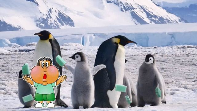 ガリガリ君リッチチョコミント