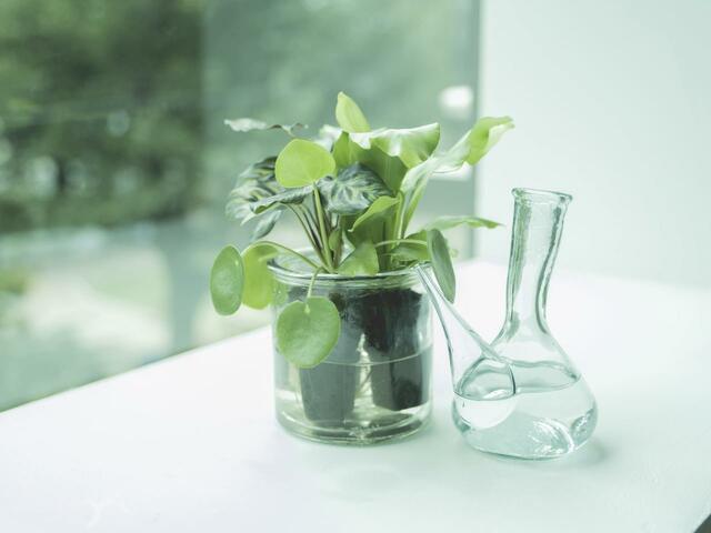 ＆Greenは手間がかかることなく育てられます