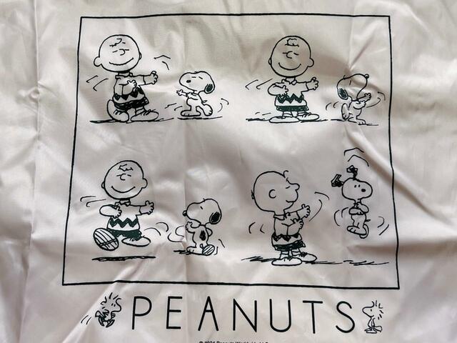 スヌーピーとチャーリー・ブラウンの仲の良さがうかがえます♪