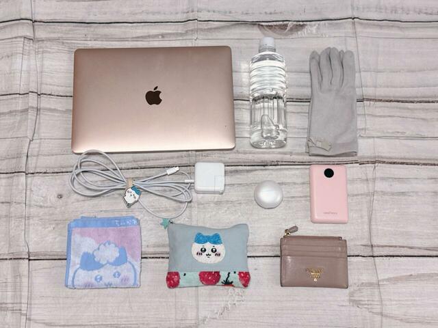 フラットタイプのトートバッグですが、これだけの荷物が収納できました!