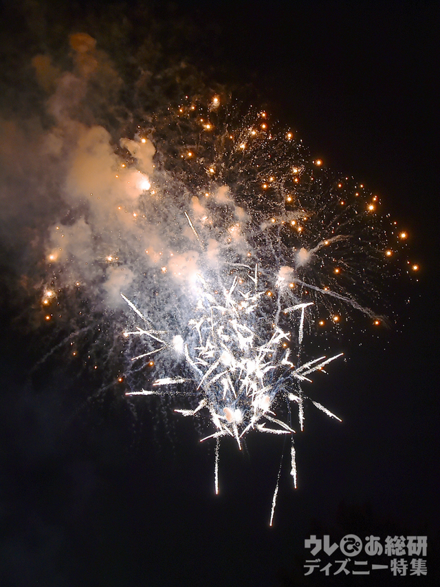 ブランニュードリーム｜東京ディズニーリゾート35周年“Happiest Celebration! ”