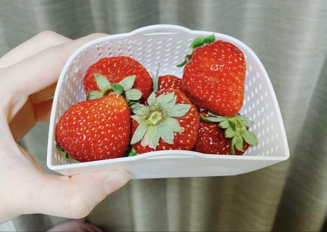 【ニトリ フレッシュキーパークラリー】イチゴ自体には水滴がついていない