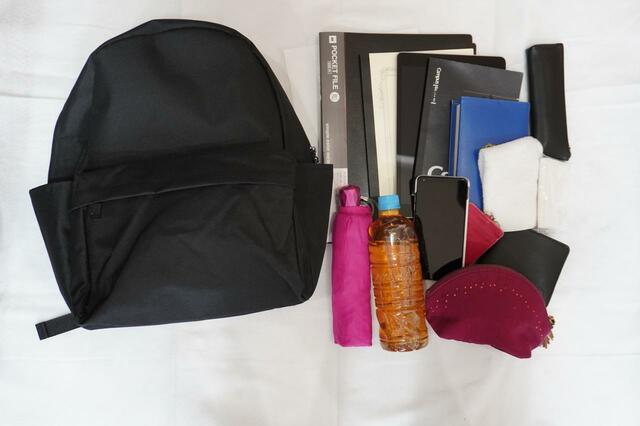 お出かけのときのマストアイテムが一通り入る