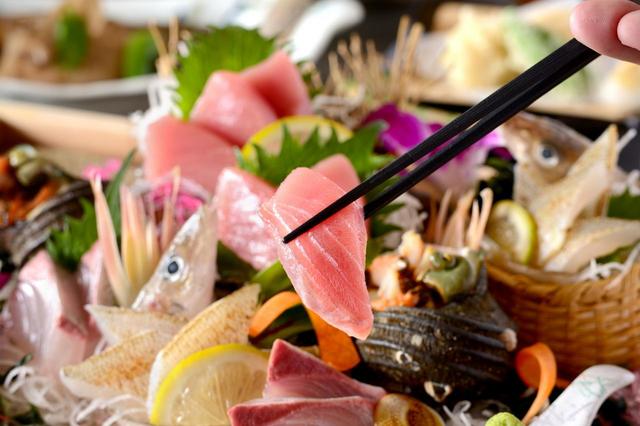 造り～だてまぐろ、愛媛県産鯛の姿造り他～