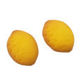 チップ&デール クッキー 巾着入り 関東・栃木レモン LEMON GYUNYU 3,400円