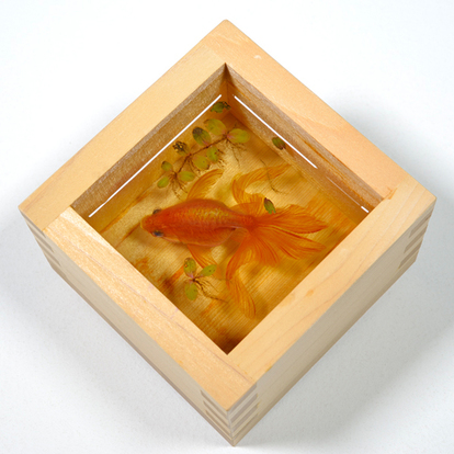 金魚アート - 金属製 えっこれ実物じゃないの…!? 超リアル「金魚絵師」のアート展がヤバい