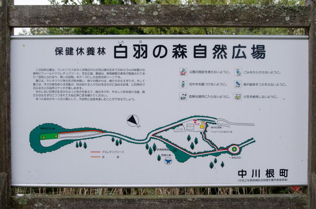 白羽山展望台へのハイキングコース