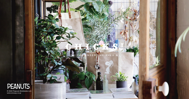 ナチュラル雑貨の新ブランド「CHICKS UNDER THE SHED」