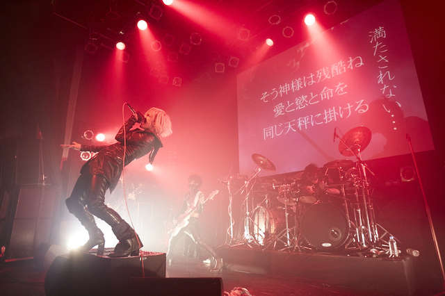 THE BLACK SWAN　儿