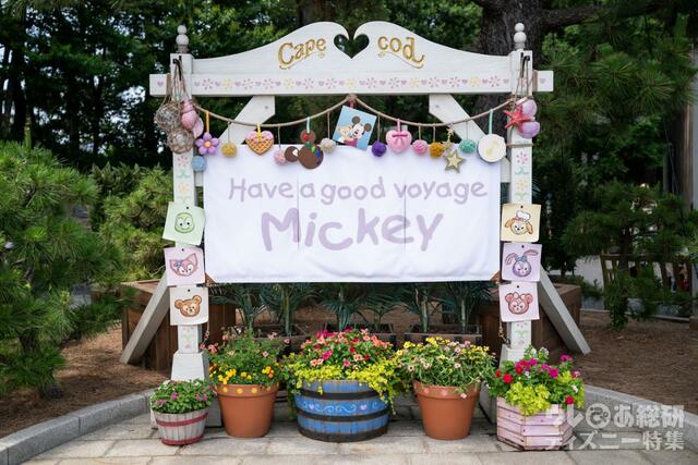 2023夏 ケープコッドデコレーション