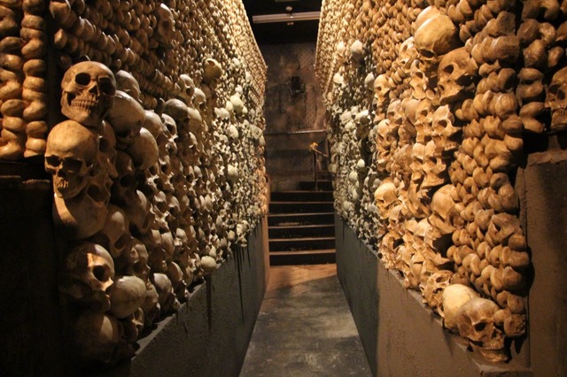 焼却された患者の骸骨が・・・