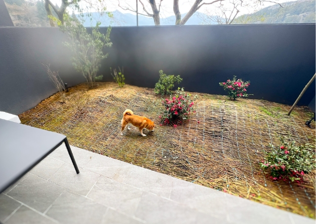 【Rakuten STAY FUJIMI TERRACE 箱根芦ノ湖】プライベートガーデンは養生中でした