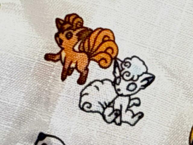 北海道：ロコン＆アローラロコン