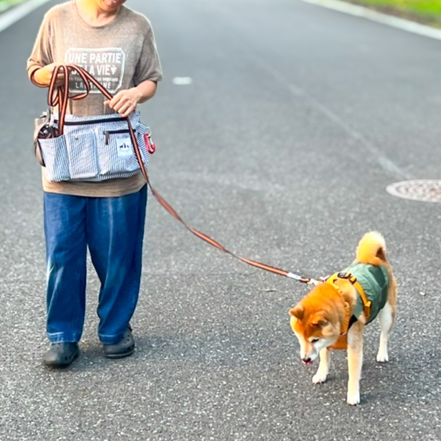 【KAINU犬用お散歩バッグ大容量ウエストポーチ】バッグの重さは約300g。たっぷり収納してもあまり重くなりすぎないのがGOOD！