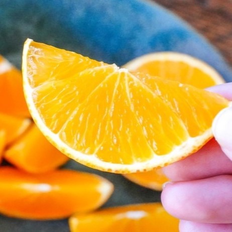 「まどんな・みかん詰め合わせ福袋」＜価格：3,000円（税込・送料込）＞【最大4,000円以上もお得！カニもお寿司も