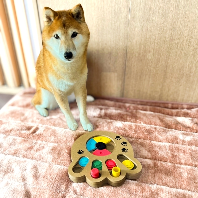 【ニトリ おやつを入れて遊べる知育トイ(足跡 モク)】おやつが入っているのを知っているので集中力がすごい！