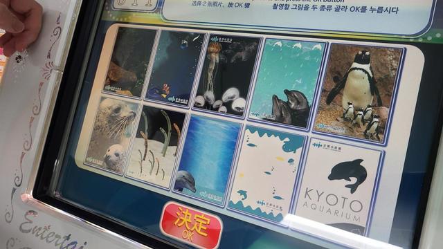 京都水族館 プリクラ