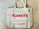 SNOOPYが描かれた大版タイプのキャンバストート【リンネル2022年5月号 SNOOPY BIGトートバッグ】