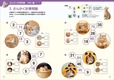 【脳活にゃんこ算数ドリル】ねこの三角関係‥⁉ではなく「さんかく計算」です