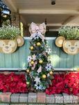 ダッフィーたちのクリスマスツリー