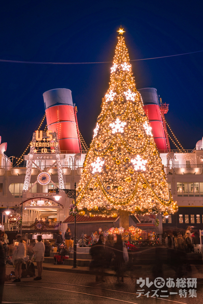 保存版】東京ディズニーシー2017「クリスマス・ウィッシュ」フォト