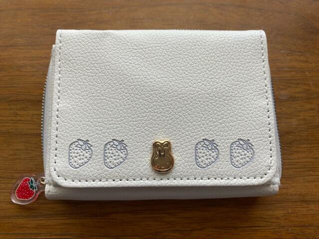 【宝島社　miffy カードが見やすい じゃばら式ミニ財布 BOOK WHITE】裏面はいちごとミッフィー