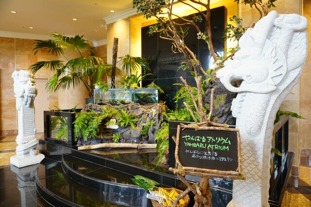 【オリエンタルホテル 沖縄リゾート&スパ】やんばるに生息する希少な淡水魚や野生ランを展示した「やんばるアトリウム」は撮影スポットにも