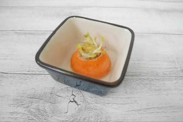 【キッチン菜園：野菜の根っこやヘタを使う場合】ヘタを切って水に浸けます