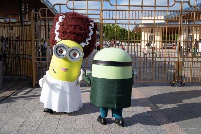ミニオン・モンスターズ・グリーティング｜ユニバーサル・スタジオ・ジャパン「NO LIMIT！ハロウィーン」