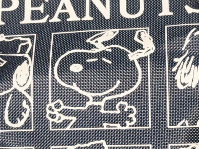 我らがスヌーピーはセンターに！お耳がぴょこんと上がったご機嫌な姿がキュート♪