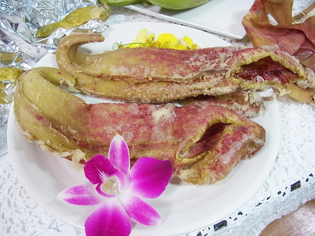 食虫植物トークショー/ウツボカズラのフライ