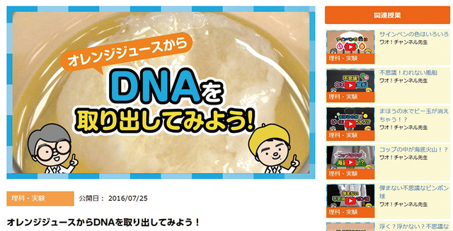 実験の授業もあります！