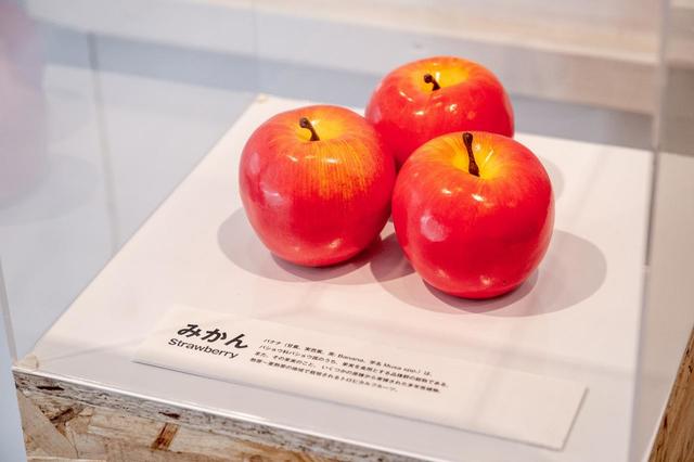 「#あぁアレね展」