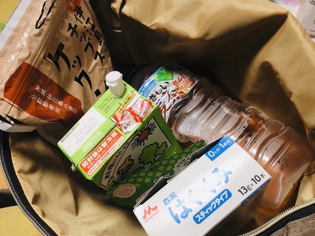 【宝島社 ミッフィーの大きなピクニックバッグ BOOK】エコバッグとして。2リットルのペットボトルも入ります