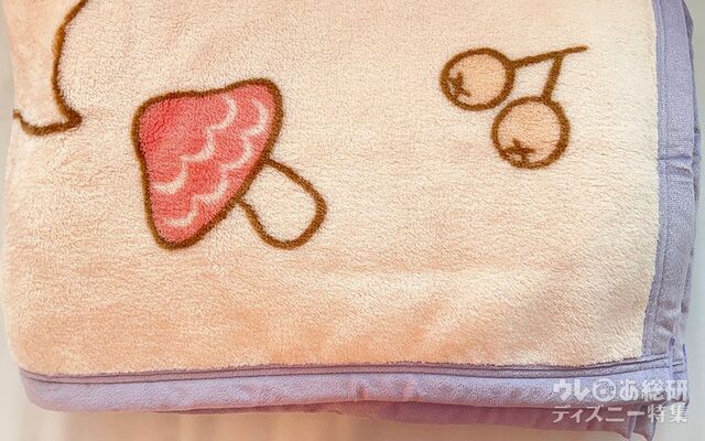 「ダッフィー＆フレンズのフォールズ・サウンド・インビテーション」毛布