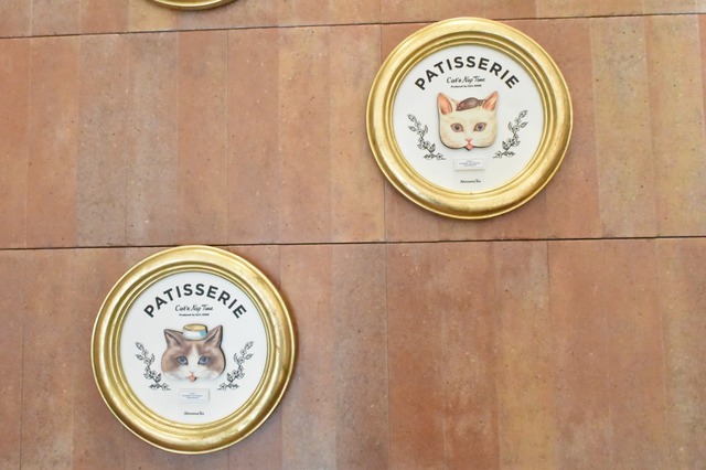 うちのネコに似てる～！って言う方が多いそう