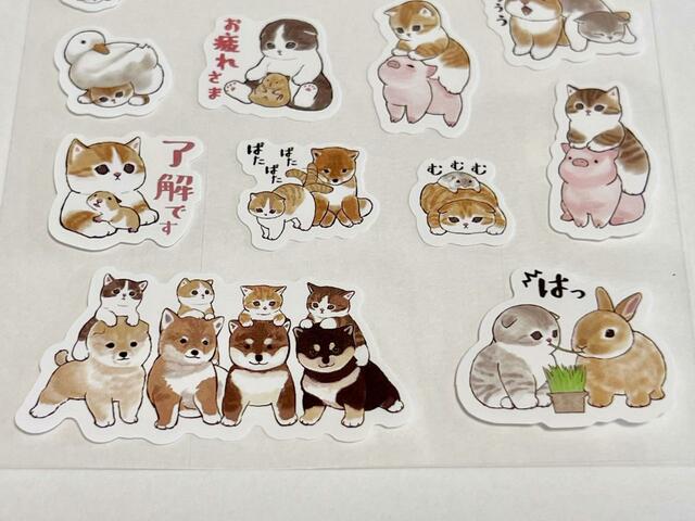 【Seria（セリア）】豚に乗っているにゃんこが筆者イチオシ！