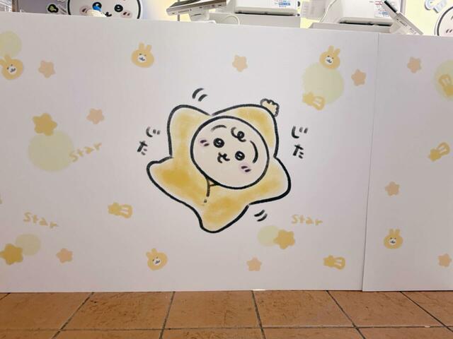 レジ台の下には星のおくるみを着たベビーうさぎが♪見逃し厳禁です！