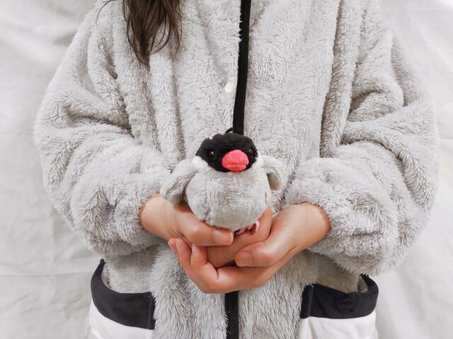 手のひらに乗せてもかわいい