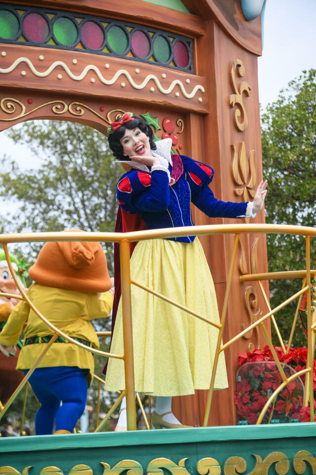 2024年11月14日 「ディズニー・クリスマス」プレスプレビュー/東京ディズニーランド/ディズニー・クリスマス・ストーリーズ“フォンド・フェアウェル”の模様